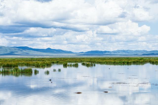 川西旅游攻略理塘，除了被丁真带火的理塘