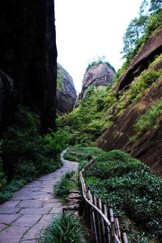 福建南平有什么旅游景点吗，福建省南平市值得游玩的旅游景点有哪些