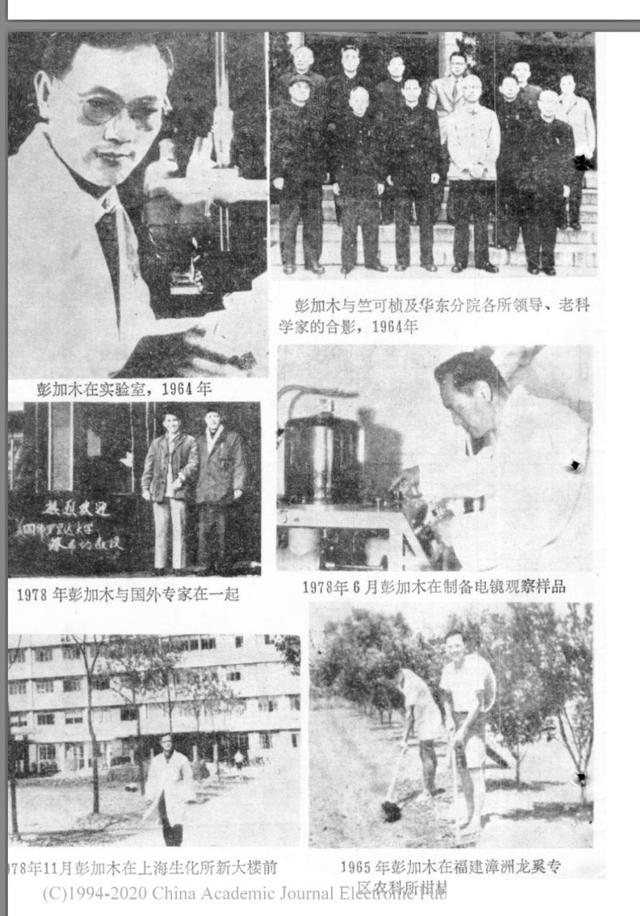 彭加木失踪之谜，1980年彭加木罗布泊失踪之谜