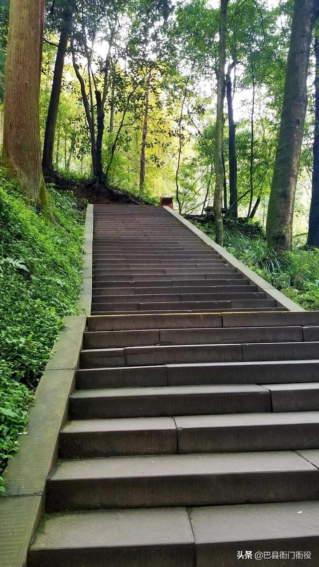 青城山一天旅游攻略图文并茂，青城山\u0026都江堰一日游超全攻略