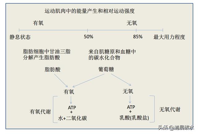 快速减脂有氧还是无氧，搞清楚有氧与无氧的代谢问题