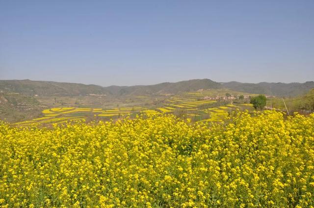 咸阳旅游详细攻略，必去游玩的景点有哪些