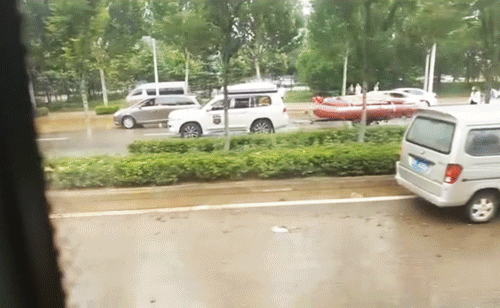 这两天点赞最高的视频，都是从河南发出的