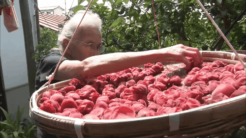 最新的老年人养老方式，刚刚养老又出新花样