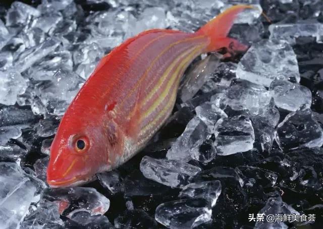 厦门特色海鲜排行榜，厦门人最喜欢的12种海鲜
