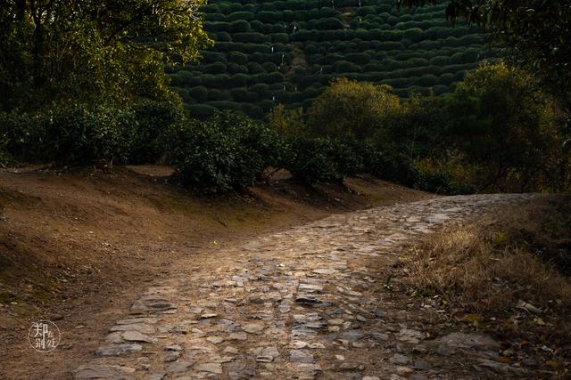 杭州最全登山路线图，可能是杭州最美登山路线之一