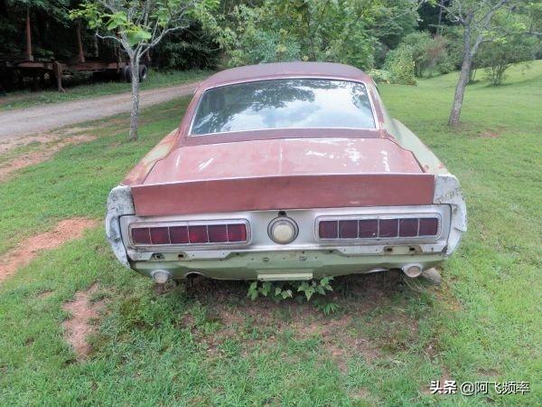 福特野马谢尔比，国内野马谢尔比gt500声浪炸街（史上最强野马——谢尔比GT500）