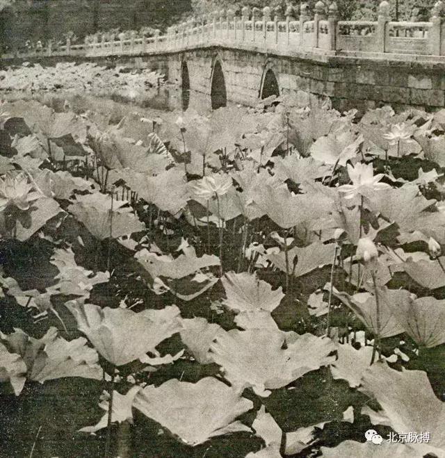 北海公园的文化底蕴，画说北京北海公园的前世今生