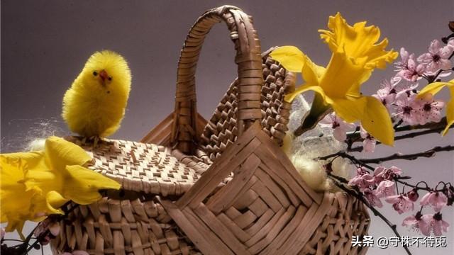 世界上20个有趣的冷知识，或许让人感到奇怪