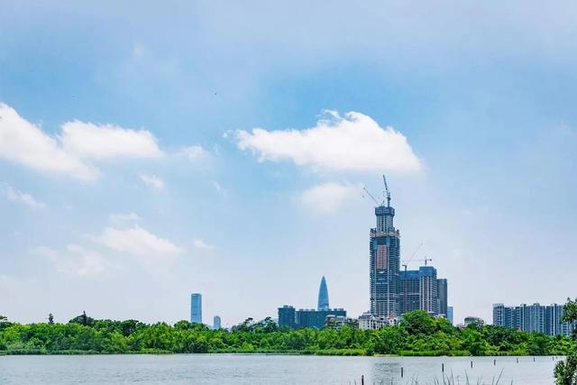 深圳游玩攻略必去的地方免费，7个遛娃好去处全免费