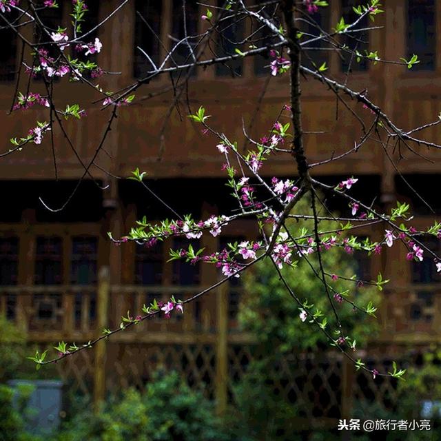 广西旅游景点大全，广西十大旅游景点推荐排名（广西旅游必去十大景点）