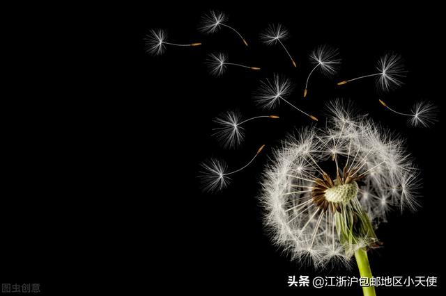 怒刷好感失败之后，推荐运动类小说（竞技文推荐<15>）