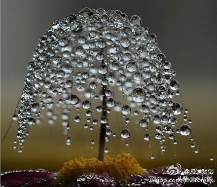 马雷岛上的守卫灯塔，真有奇迹让人泪目（马雷岛上的守卫灯塔）