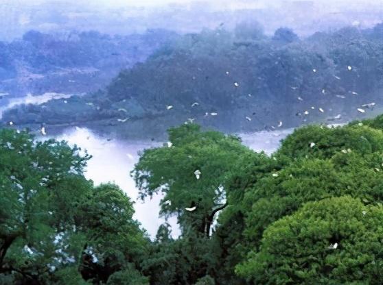 衡阳有什么好玩的地方景点推荐，衡阳的旅游景点推荐