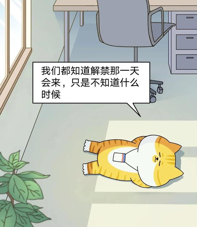 肥胖又穷(胖是穷病)