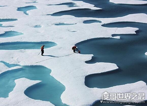 四大洋最小的是哪个洋最小的北冰洋面积多大