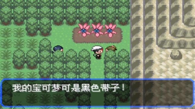 究极绿宝石二周目，口袋妖怪究极绿宝石4二周目全攻略（所有秘传机技能地点分布）