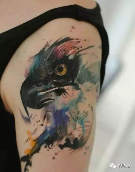 猫头鹰的寓意和象征记得收藏，象征睿智的猫头鹰图案