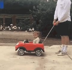 狗狗睡姿看性格，从狗狗睡姿判断狗狗性格