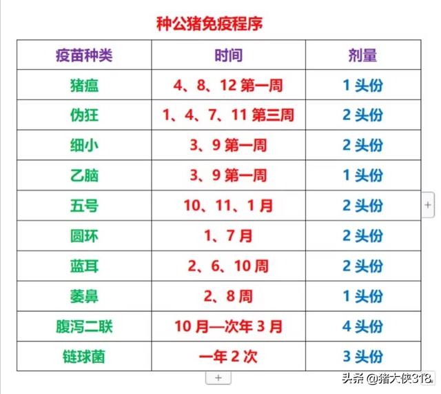 最新猪疫苗时间表，猪疫苗免疫时间大全