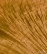 金丝楠木如何辨别，神秘金丝楠木如何品鉴