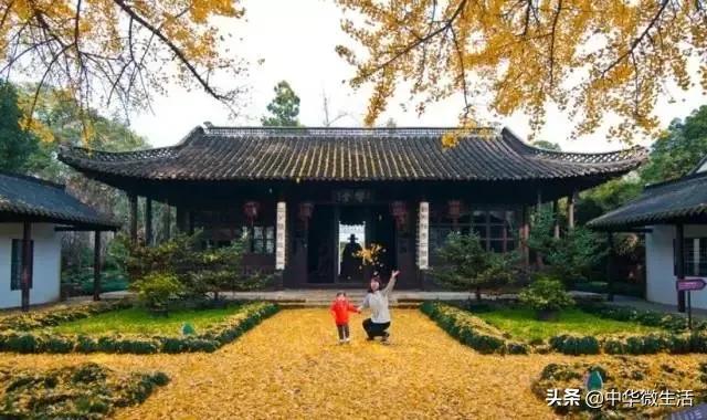 扬州二日游自由行攻略，秋未尽冬已来这场12小时的扬州寻美之旅