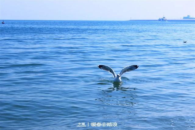 姜烟肥胖(姜烟小说)
