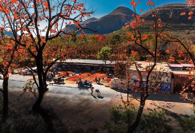 沂水打造5a景区，沂水县沂蒙花开旅游区成功创建国家4A级旅游景区