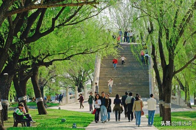 扶桑树传说大全，不止是离别相赠