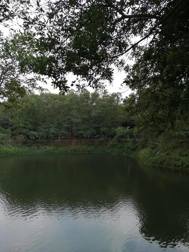 深圳周边游之惠州，惠州天堂湖攻略