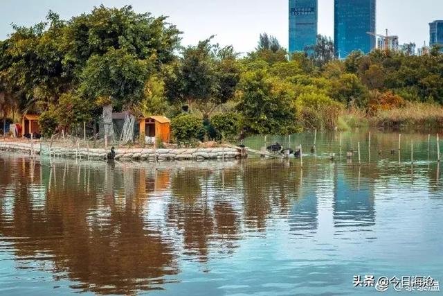 厦门咖啡一条街，厦门环东海域滨海旅游浪漫线（来厦门，必打卡的六个景点）