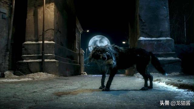 彼得与狼的故事，彼得与狼撕开童话外衣（动物学家与狼的真实故事）