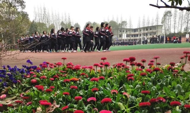 成都民办初中收费，成都55所民办高中学位、学费、住宿费、直升人数公布