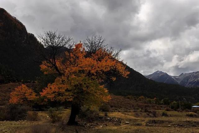山南旅游景点大全，山南旅游最美景点