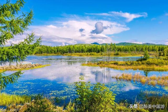 阿尔山国家森林公园，阿尔山国家森林公园景区讲解