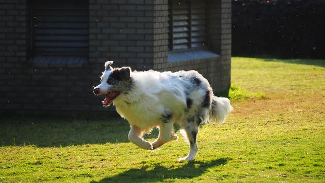 奥林巴斯em1，奥林巴斯em1mark3测评