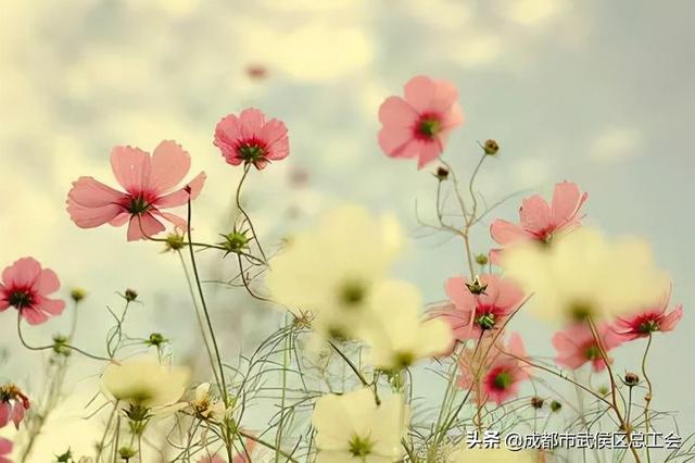 如何保持心理健康，如何能长期保持心理健康（怎样保持心理健康，远离抑郁）