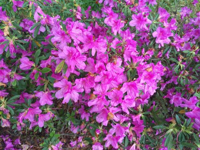 宁波雪窦山，宁波自驾游最佳去处