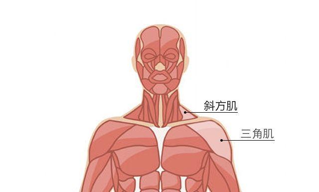 4分钟练出天鹅颈，三步让你拥有天鹅颈