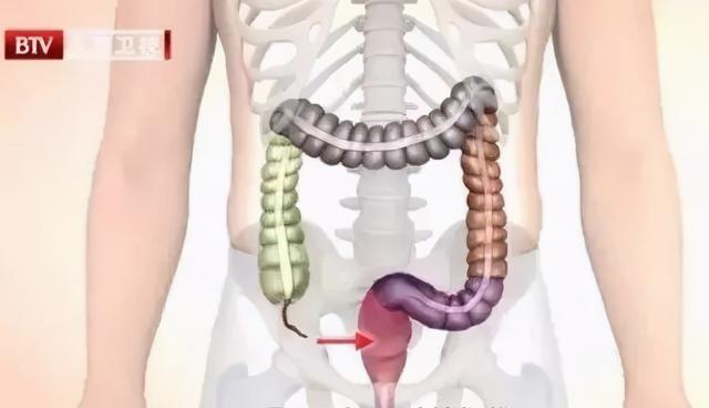 控糖效果好于谷物，对控糖期间有好处的6种食物