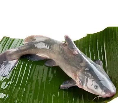 无骨烤鱼是鲶鱼吗，惊艳的无骨烤鱼