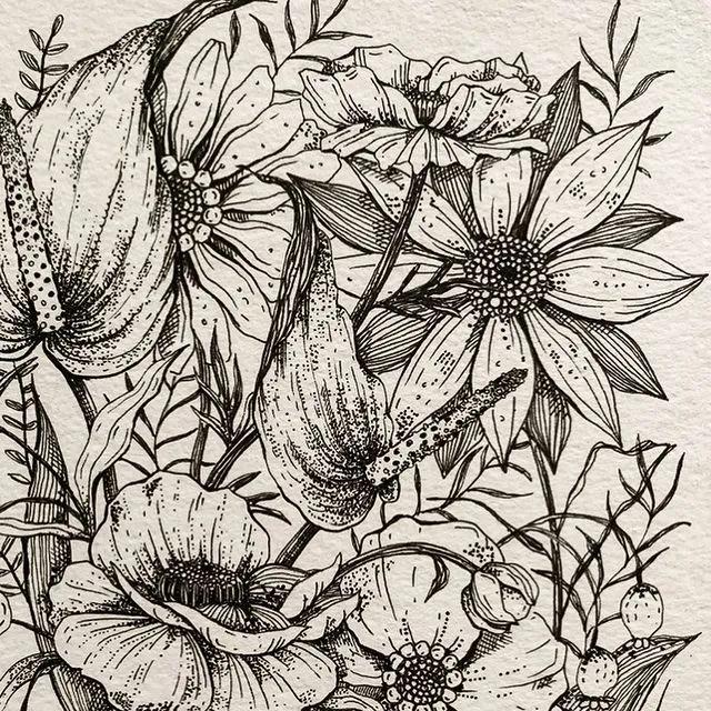 妙笔生花水墨画教程，教科书级别的植物线描