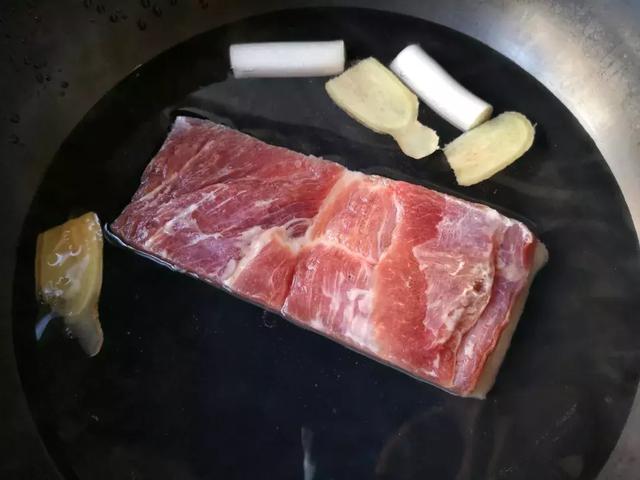 特别大的肉食动物，肉食动物大合集