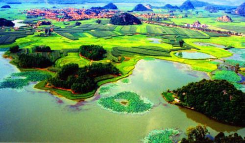 云南人的永久记忆，云南人为何愿做