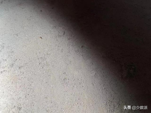 猫走丢了怎么办，猫咪走丢了怎么办快来看看吧