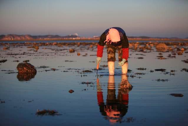 去大连赶海玩的攻略，东北大连哈仙岛