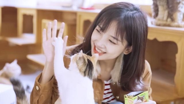 「最美女記者」王冰冰再次俘獲人心！穿湘西服飾宣揚文化，太養眼 娛樂八卦吃瓜 第7张