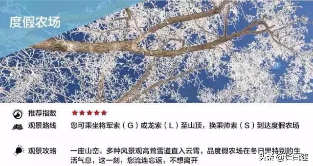 万达长白山滑雪场，长白山滑雪场在哪个地方（长白山万达度假区成国内冰雪赛事集结地）