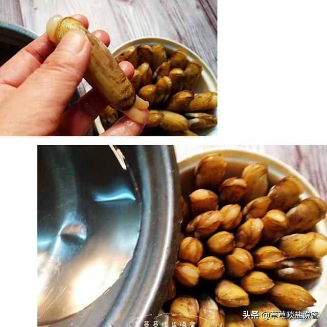 蛏子怎么做才好吃，蛏子要怎么吃（蛏子要这样做才好吃）