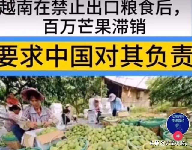 芒果界爱马仕贵妃芒，贵妃芒果今年价格